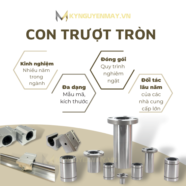 Bộ thanh trượt con trượt tròn