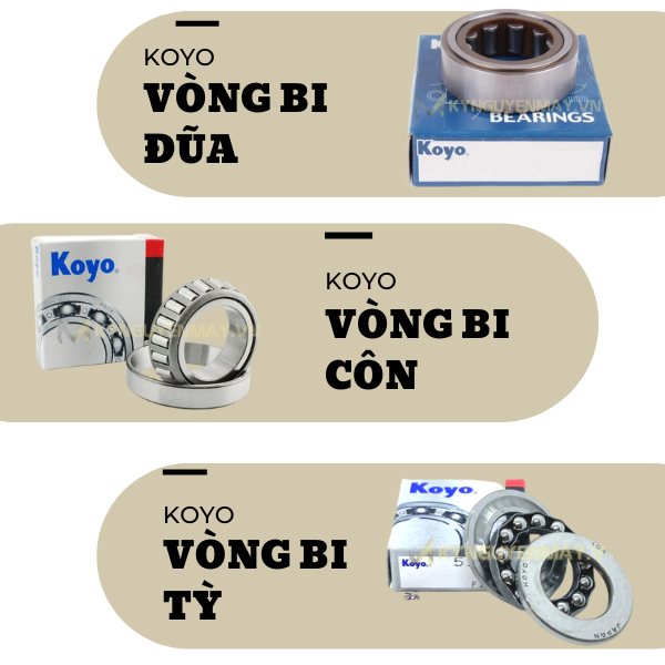 đại lý vòng bi koyo tại hà nội