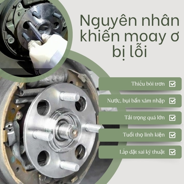 Nguyên nhân khiến moay ơ bị lỗi