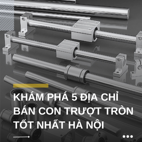 Khám phá 5 địa chỉ bán con trượt tròn tốt nhất Hà Nội