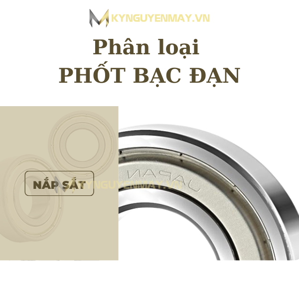 phốt bạc đạn (nắp ổ lăn)