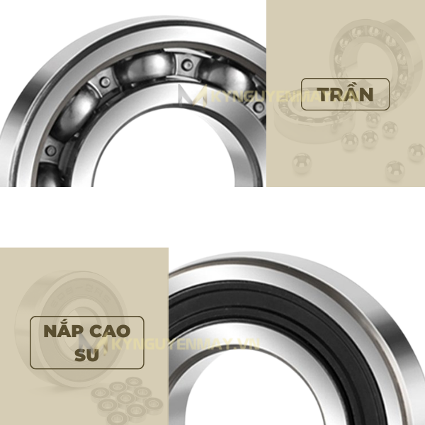 phốt bạc đạn (nắp ổ lăn)