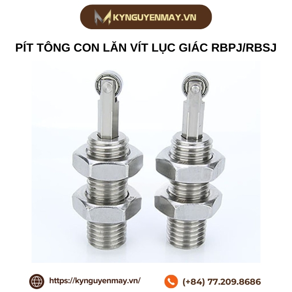 Pít tông con lăn vít lục giác RBPJ/RBSJ