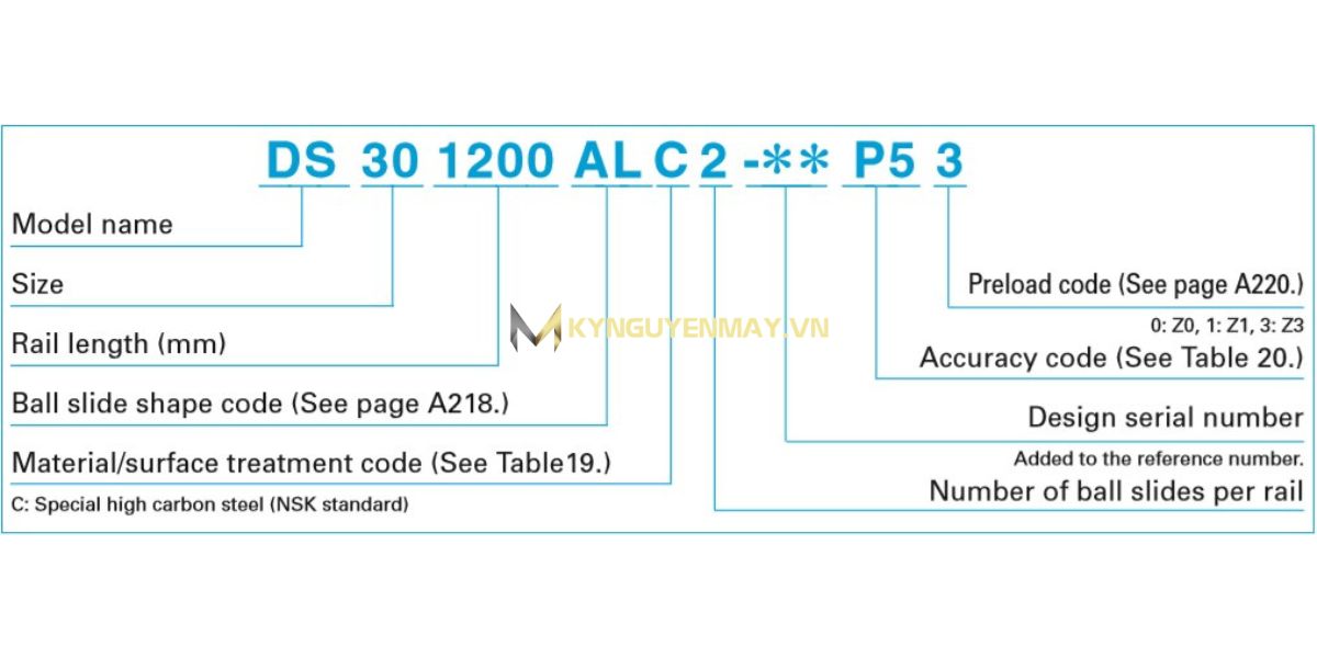 Ray dẫn hướng NSK dòng DS