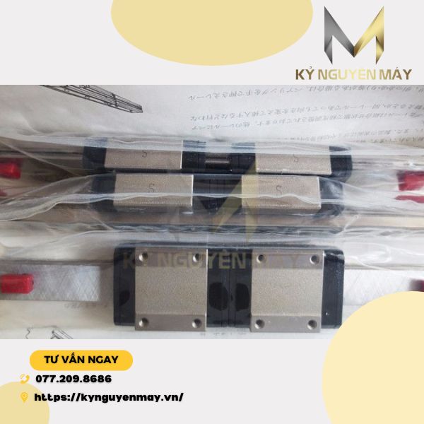 ray trượt chịu tải DS