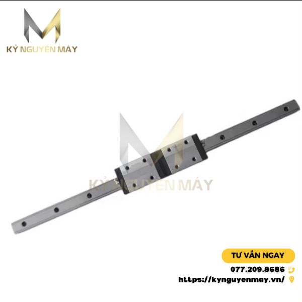 Ray trượt SCHNEEBERGER AMSA 3L