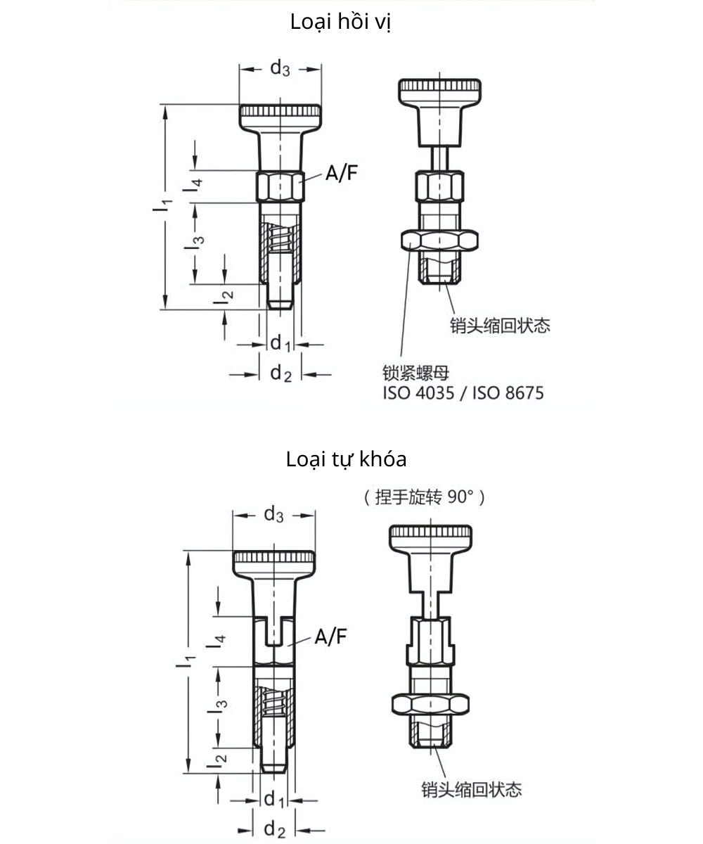 Thông số kỹ thuật chốt pin định vị núm pittong M10, M12, M16, M20