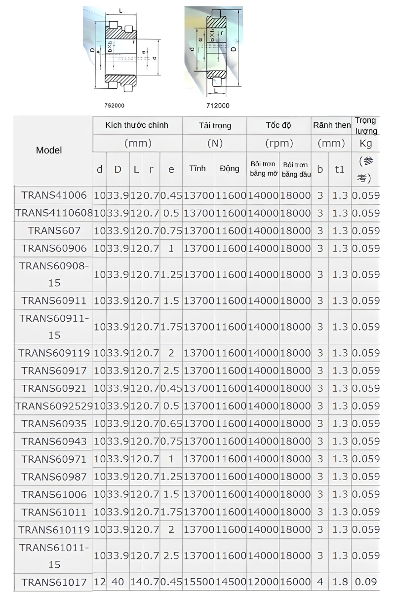 Thông số kỹ thuật bạc đạn lệch tâm TRANS