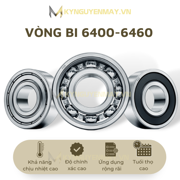 vòng bi 6400 - 6460 (bạc đạn 6400 - 6460)