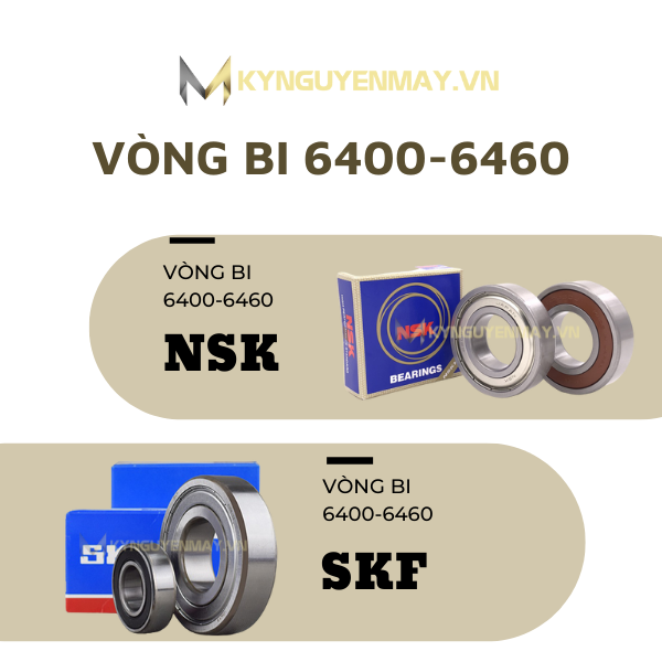 vòng bi 6400 - 6460 (bạc đạn 6400 - 6460)