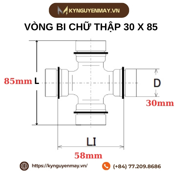 Thông số kỹ thuật vòng bi chữ thập 30 x 85