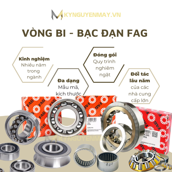 vòng bi fag (đại lý vòng bi fag)