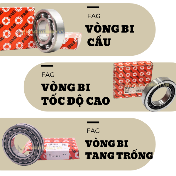 vòng bi fag (đại lý vòng bi fag)