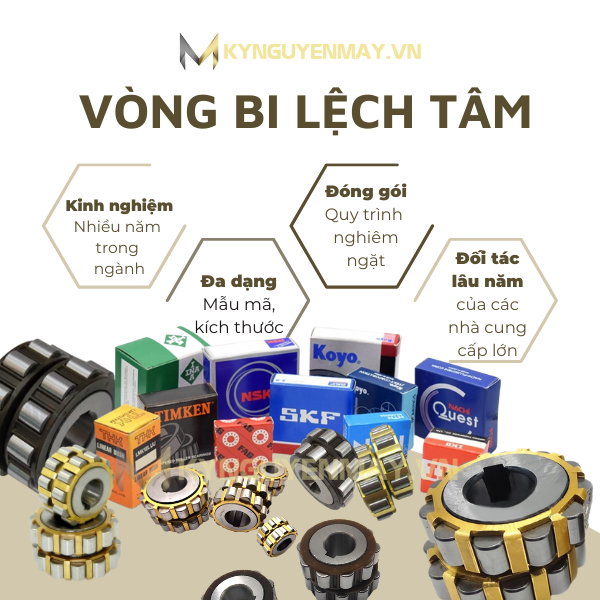 vòng bi lệch tâm (bạc đạn lệch tâm)