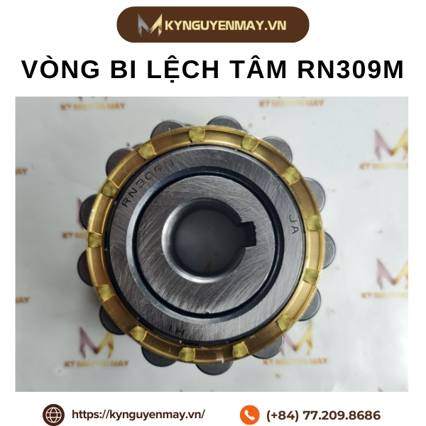 Vòng bi lệch tâm RN309M là gì?