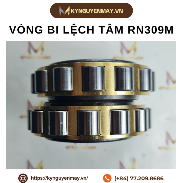 Ứng dụng ổ bi lệch tâm RN309M