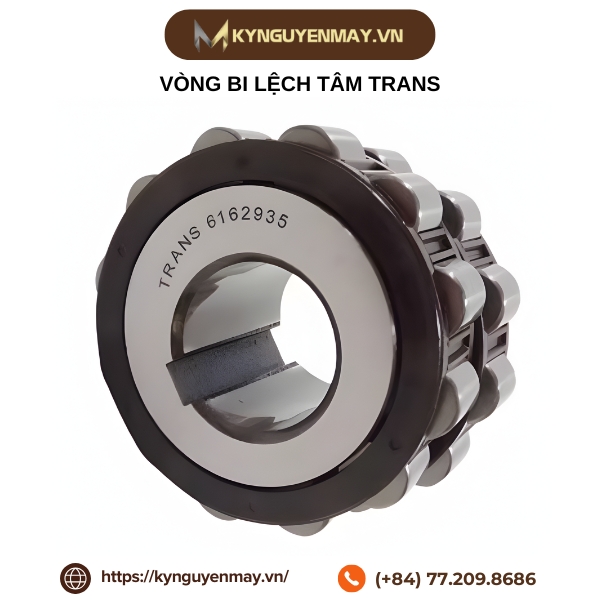 Vòng bi lệch tâm TRANS