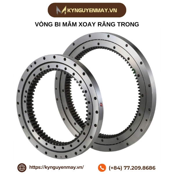 Vòng bi mâm xoay răng trong