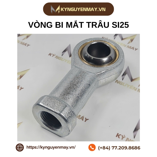 vòng bi mắt trâu SIL25