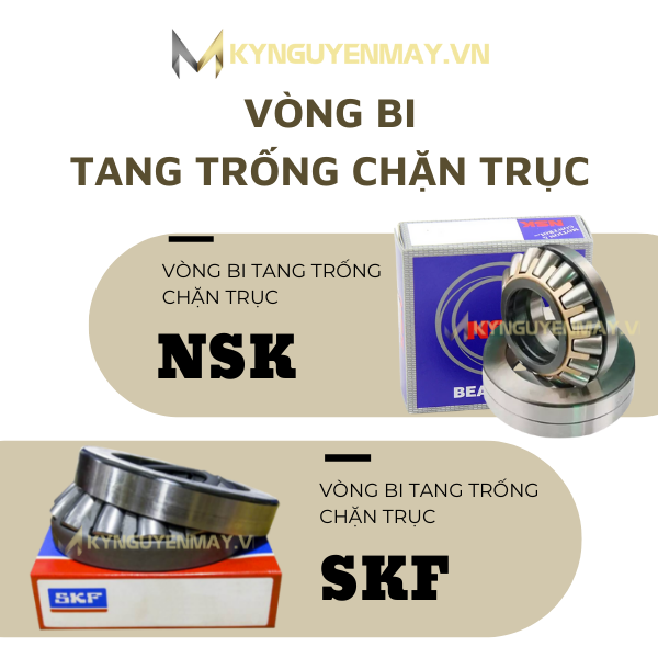 vòng bi tang trống chặn trục