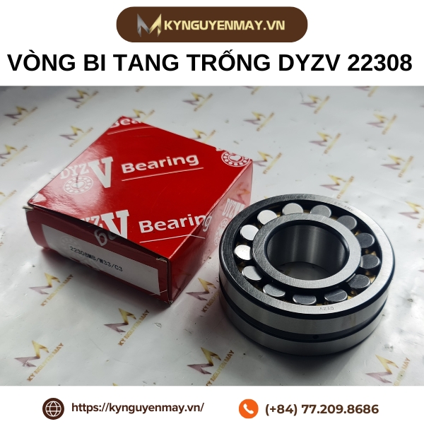 Vòng bi tang trống DYZV 22308