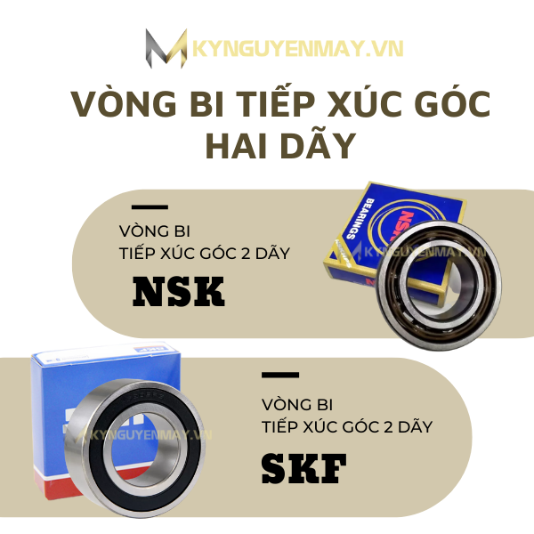 vòng bi tiếp xúc góc hai dãy (bạc đạn tiếp xúc góc hai dãy)