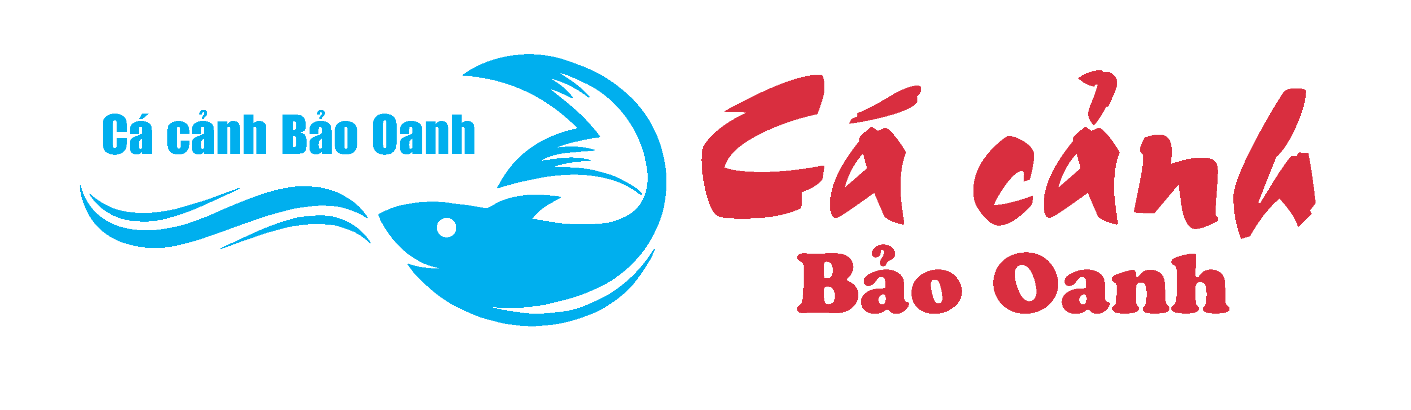 CÁ CẢNH BẢO OANH