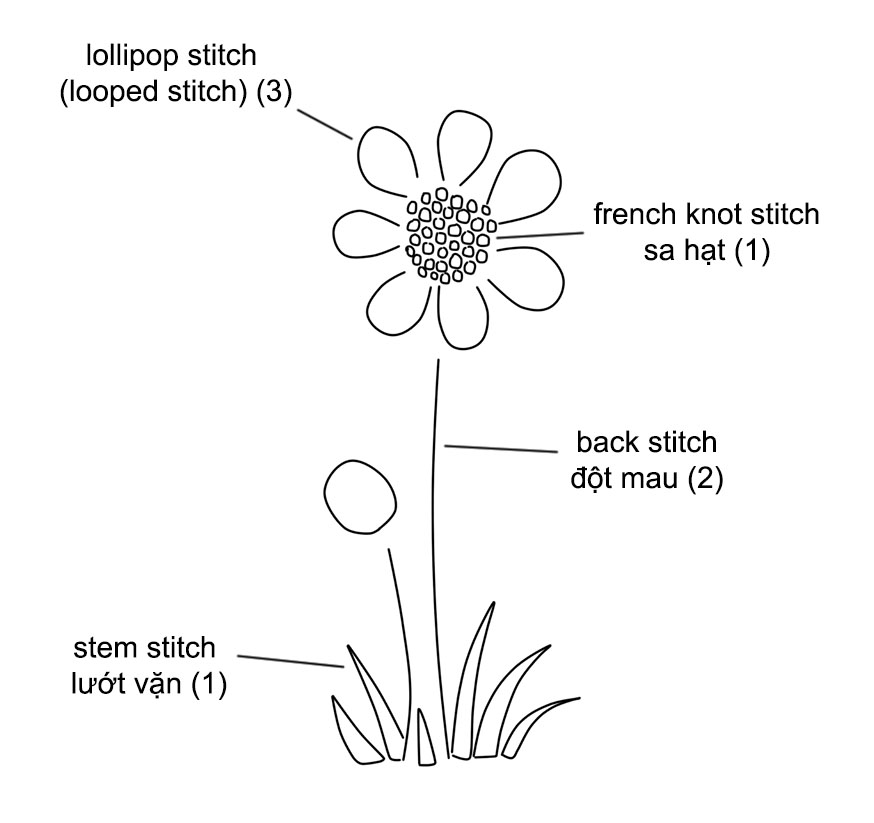 Hướng dẫn thêu bông cúc Tana bằng mũi lollipop stitch (looped stitch) có mẫu in