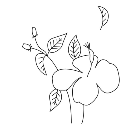 Hướng dẫn thêu hoa dâm bụt trên vải voan kính