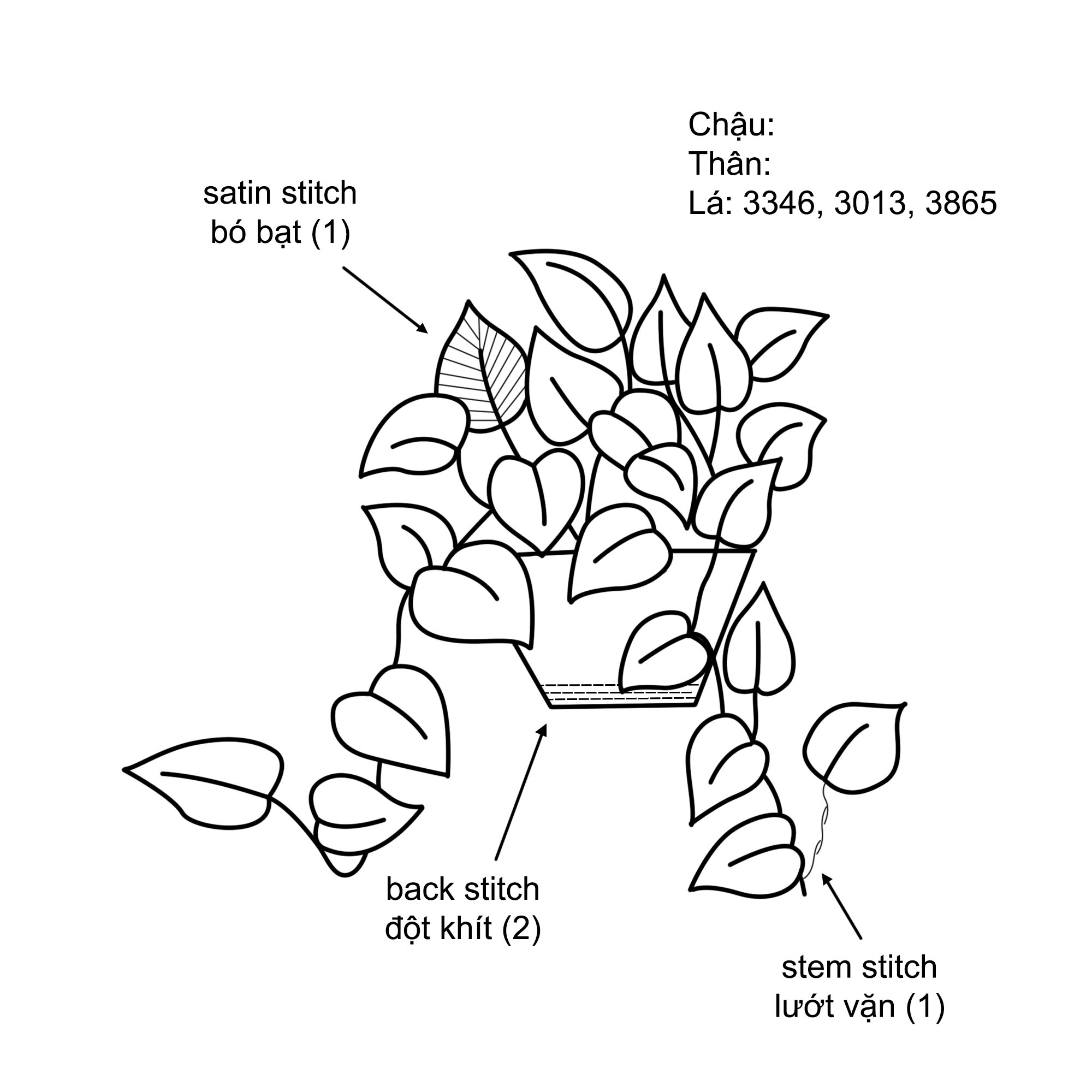 Thêu cây vạn niên thanh đơn giản cho người mới bắt đầu