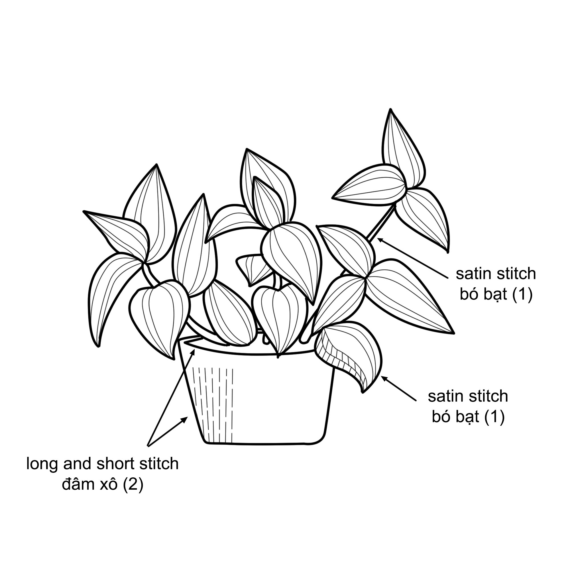 Hướng dẫn thêu cây thài lài sọc bằng mũi thêu cơ bản