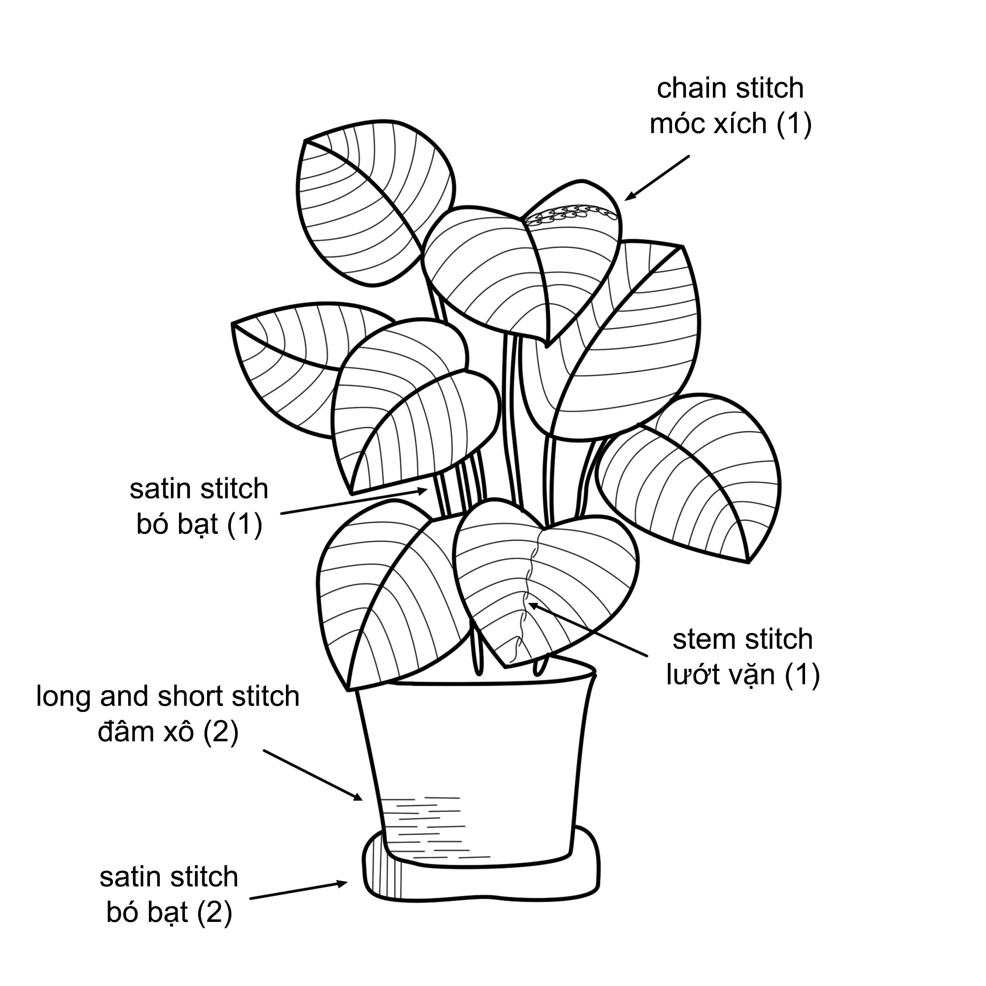 Hướng dẫn thêu cây đuôi công táo bằng mũi thêu cơ bản