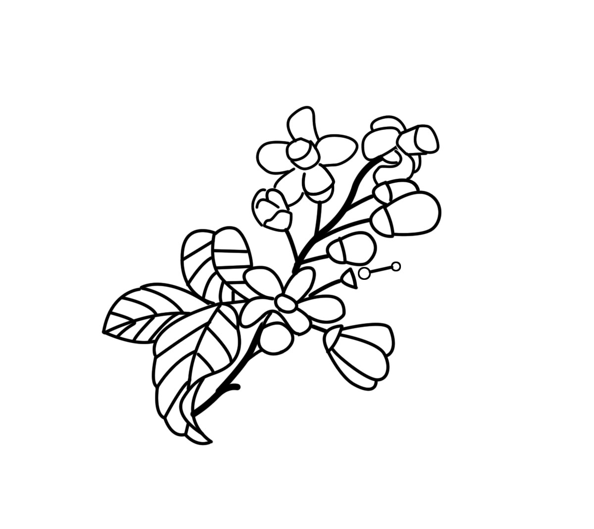 Học thêu cơ bản: Hướng dẫn thêu hoa bưởi chuyển màu