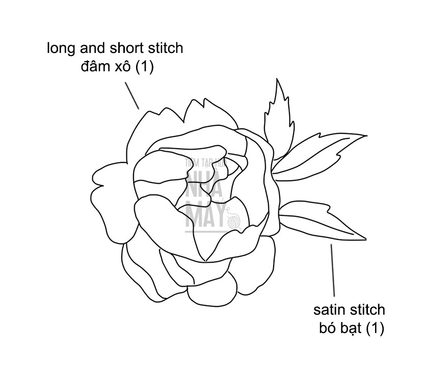 Phối màu cho hoa mẫu đơn tông hồng (có mẫu in)