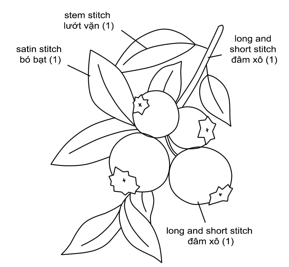 Học thêu cơ bản: Hướng dẫn thêu quả việt quất dùng mũi đâm xô