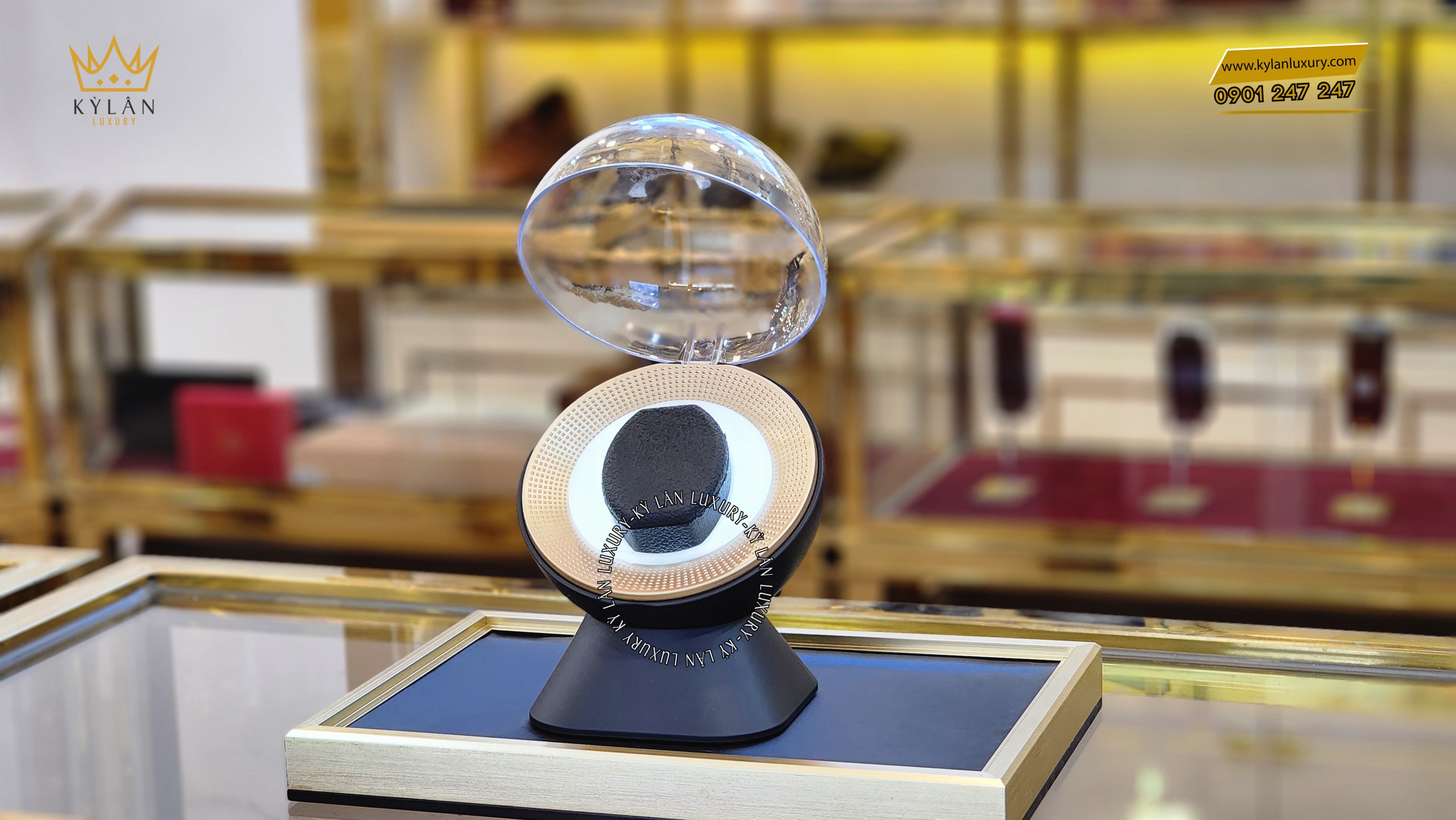 Hộp xoay đồng hồ 5 Kỳ Lân Luxury hop xoay dong ho 5 Hộp xoay đồng hồ