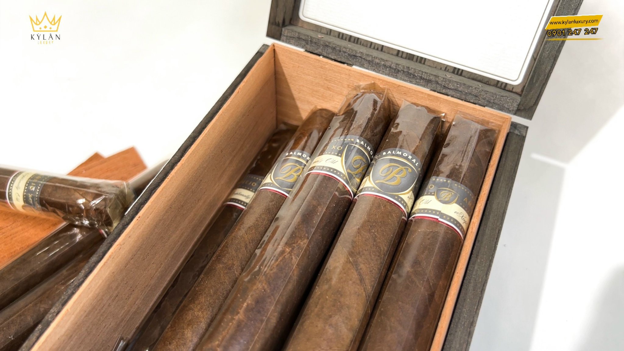 Xì gà Balmoral Anejo XO 20 GRAN TORO 10 Kỳ Lân Luxury xi ga balmoral anejo xo 20 gran toro 10 Xì gà Balmoral Anejo XO 20 GRAN TORO
