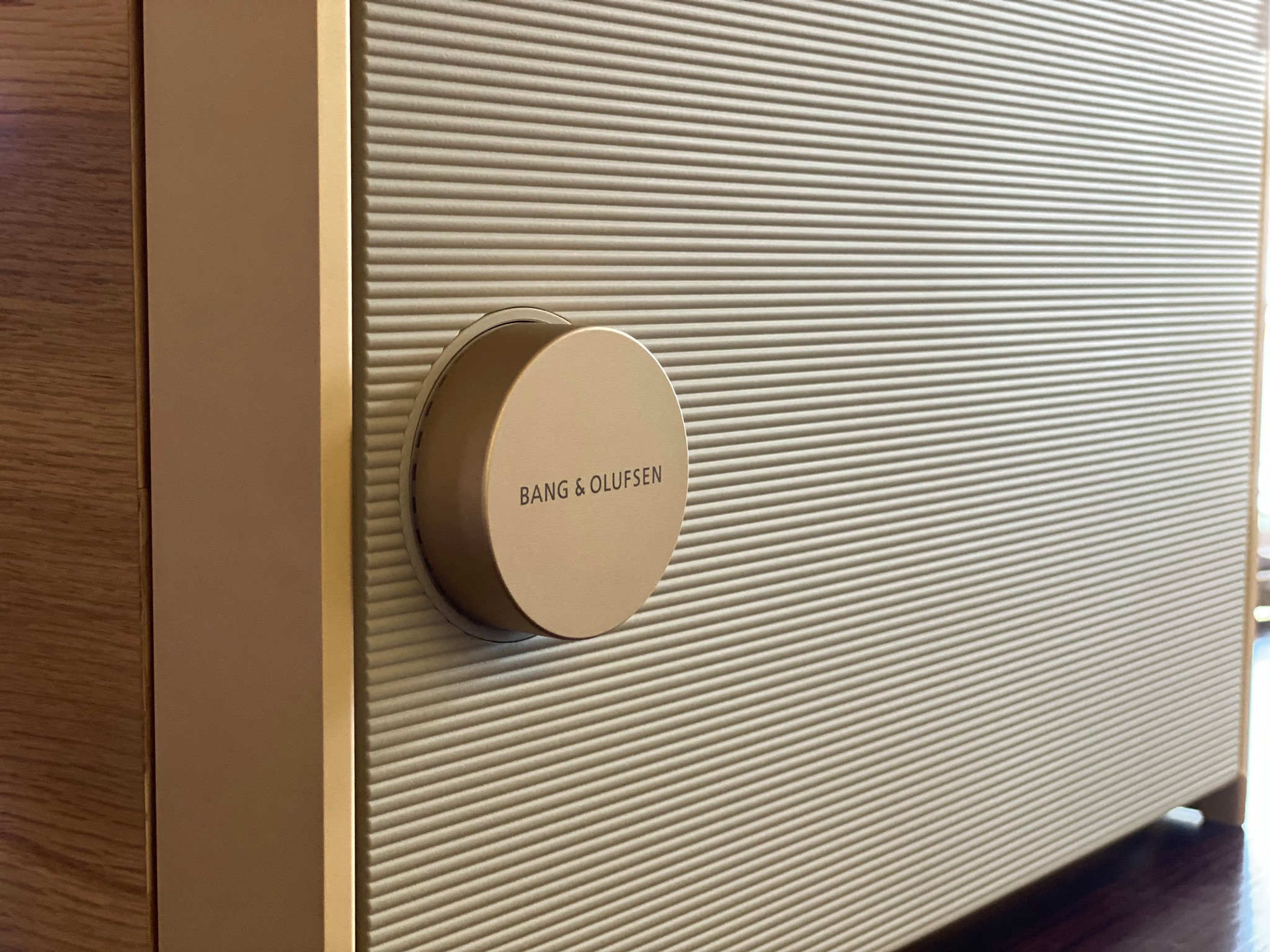 Bang & Olufsen (B&O) Beosound Level