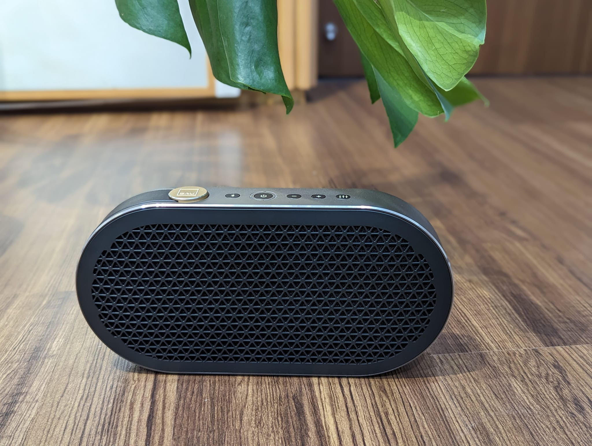 Loa Dali Katch G2: Chất âm cải tiến mạnh mẽ, pin trâu hơn