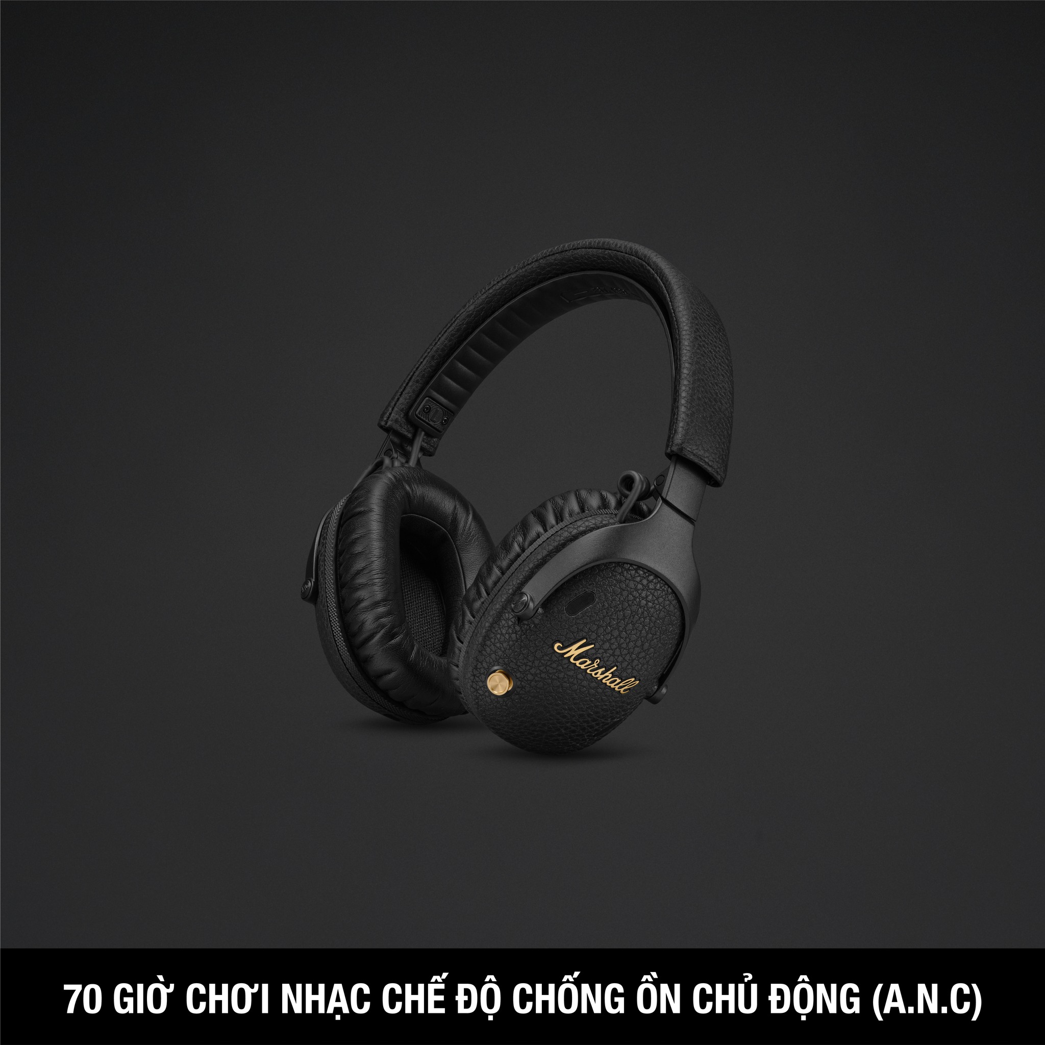 Monitor III – Đắm Chìm trong Âm Thanh Chất Lượng