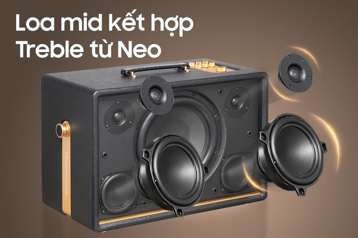 Soncamedia D'Auris 300