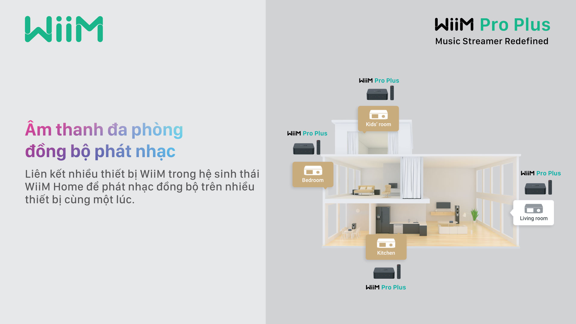 Music Streamer WiiM Pro Plus