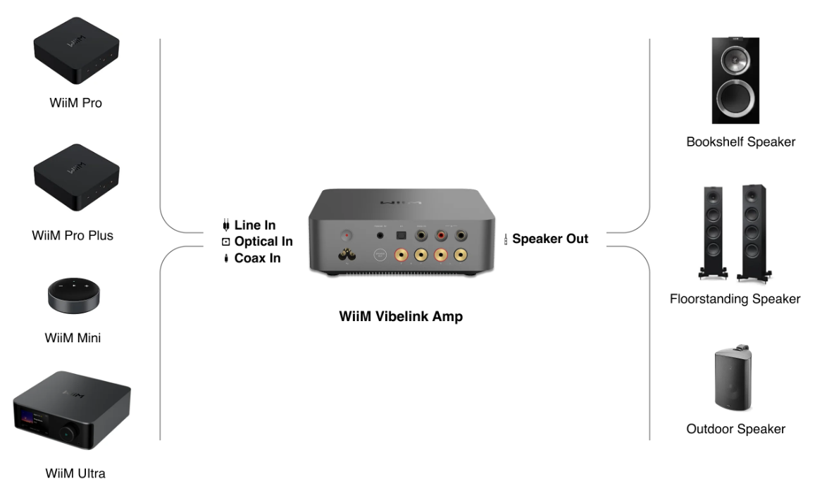 kết nối WiiM Vibelink Amp