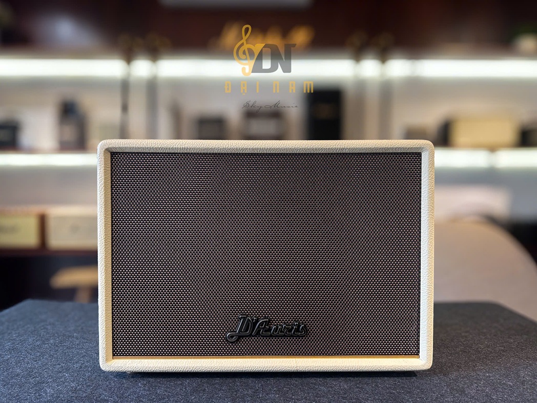 Loa Karaoke Di Động Soncamedia D'Auris 300