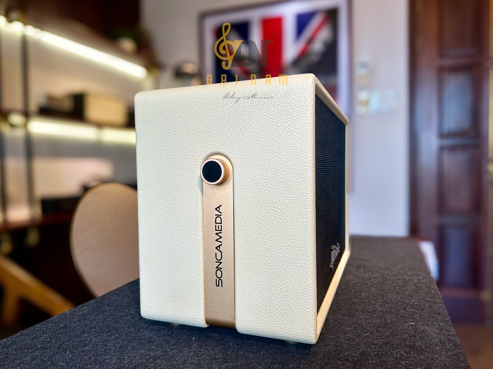 Loa Karaoke Di Động Soncamedia D'Auris 300