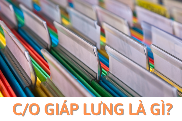 C/O giáp lưng là gì?