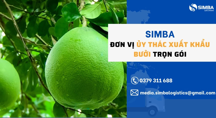 Simba - Đơn vị ủy thác xuất khẩu bưởi trọn gói, chuyên nghiệp
