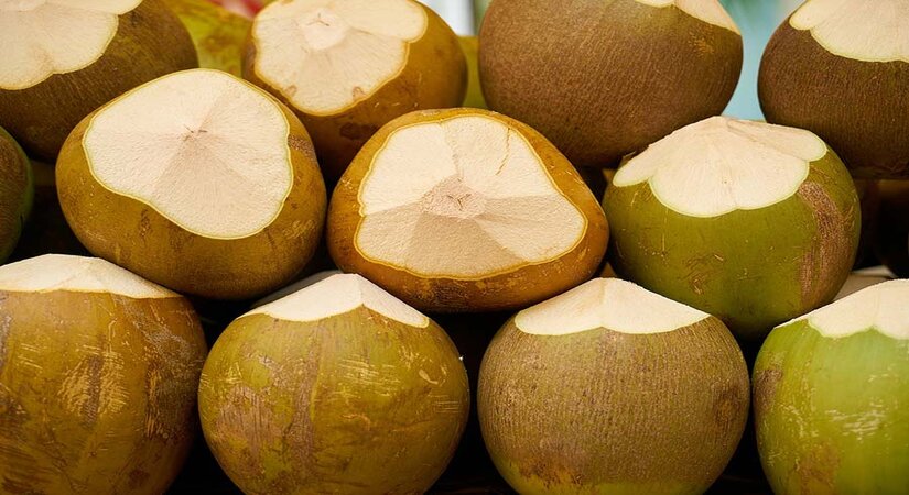 Những tiêu chuẩn khi xuất khẩu dừa tươi