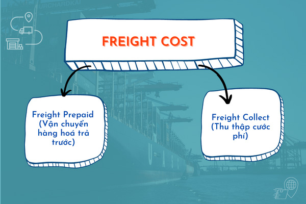 freight cost được chia làm hai loại!