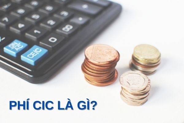 Phí CIC là gì?